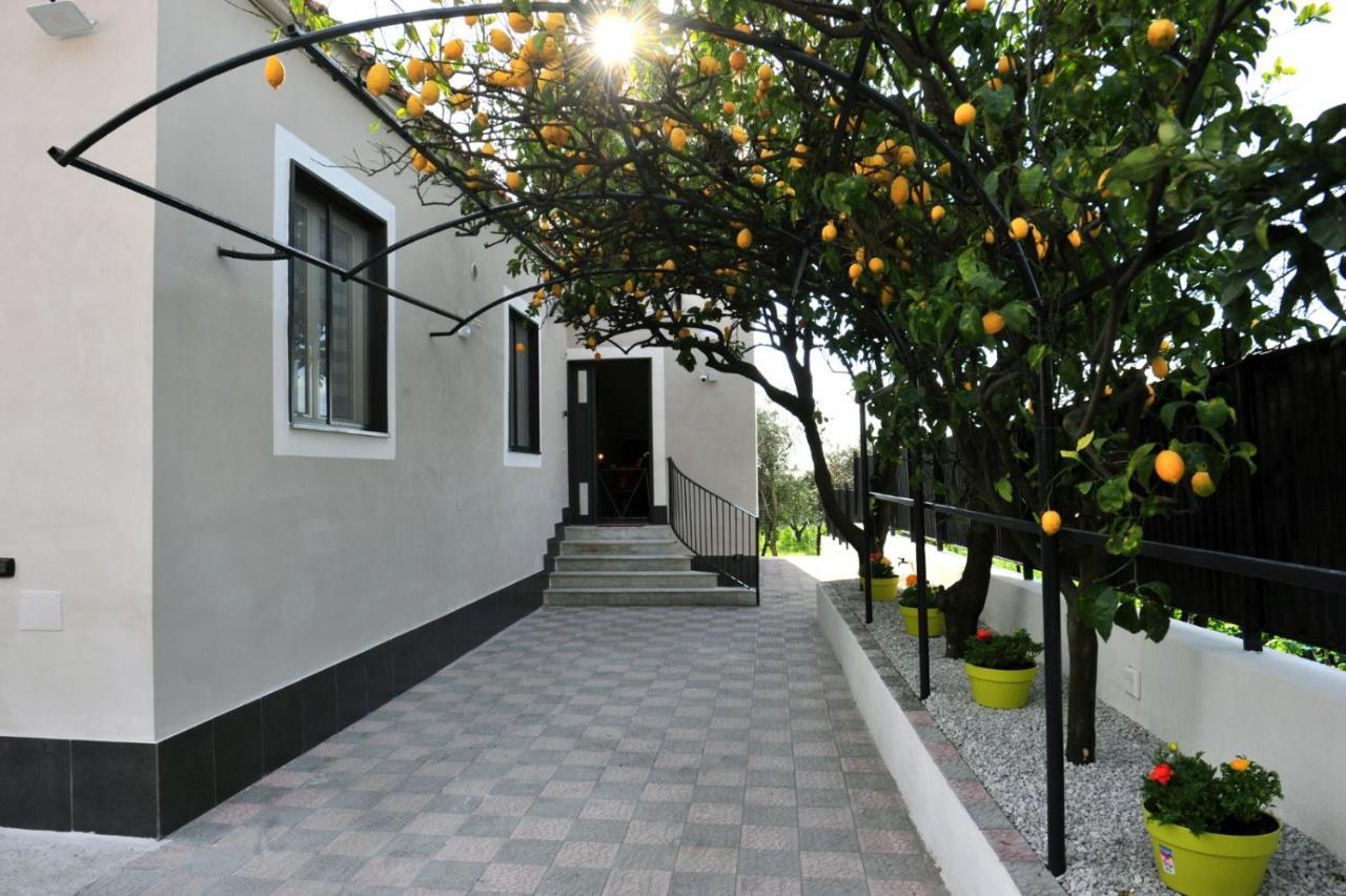B&B Guest Armonie Torre del Greco Exterior photo